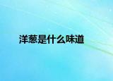 洋葱是什么味道