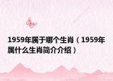 1959年属于哪个生肖（1959年属什么生肖简介介绍）