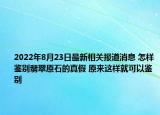 2022年8月23日最新相关报道消息 怎样鉴别翡翠原石的真假 原来这样就可以鉴别