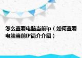 怎么查看电脑当前ip（如何查看电脑当前IP简介介绍）