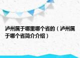 泸州属于哪里哪个省的（泸州属于哪个省简介介绍）