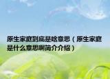 原生家庭到底是啥意思（原生家庭是什么意思啊简介介绍）