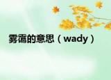 雾霭的意思（wady）