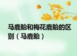 马鹿胎和梅花鹿胎的区别（马鹿胎）