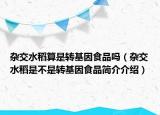 杂交水稻算是转基因食品吗（杂交水稻是不是转基因食品简介介绍）