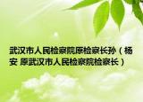 武汉市人民检察院原检察长孙（杨安 原武汉市人民检察院检察长）