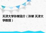 天津大学孙慧简介（孙慧 天津大学教授）
