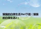 猫猫的白领生活3txt下载（猫猫的白领生活2）