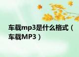 车载mp3是什么格式（车载MP3）
