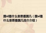 国vI是什么意思是国几（国vi是什么意思是国几简介介绍）