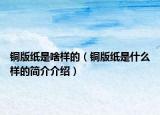 铜版纸是啥样的（铜版纸是什么样的简介介绍）
