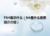 FSH表示什么（fsh是什么意思简介介绍）