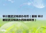 审计署武汉特派办肖哲（秦娟 审计署驻武汉特派办四级调研员）