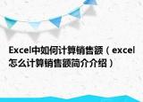 Excel中如何计算销售额（excel怎么计算销售额简介介绍）
