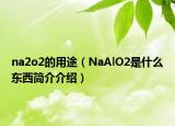 na2o2的用途（NaAlO2是什么东西简介介绍）