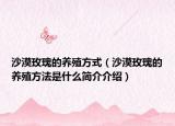 沙漠玫瑰的养殖方式（沙漠玫瑰的养殖方法是什么简介介绍）