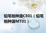 铅笔柏种源CE01（铅笔柏种源MT01）