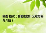 侧面 指纹（侧面指纹什么意思简介介绍）