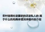 农村信用社是国家的还是私人的 属于什么机构具体情况详细内容介绍