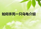 如何杀死一只乌龟介绍
