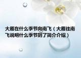 大雁在什么季节向南飞（大雁往南飞说明什么季节到了简介介绍）