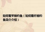 如何看竿稍钓鱼（如何看杆稍钓鱼简介介绍）