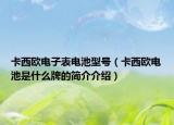 卡西欧电子表电池型号（卡西欧电池是什么牌的简介介绍）