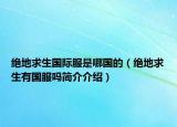 绝地求生国际服是哪国的（绝地求生有国服吗简介介绍）
