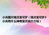 小光图片精灵宝可梦（精灵宝可梦3小光有什么神奇宝贝简介介绍）