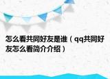 怎么看共同好友是谁（qq共同好友怎么看简介介绍）