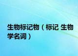生物标记物（标记 生物学名词）