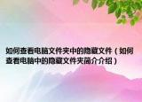 如何查看电脑文件夹中的隐藏文件（如何查看电脑中的隐藏文件夹简介介绍）