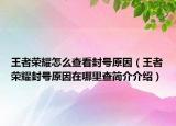 王者荣耀怎么查看封号原因（王者荣耀封号原因在哪里查简介介绍）