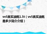 vv5真实油耗1.5t（vv5真实油耗是多少简介介绍）