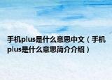 手机plus是什么意思中文（手机plus是什么意思简介介绍）