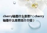 cherry轴是什么意思?（cherry轴是什么意思简介介绍）