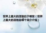 世界上最大的湿地位于哪里（世界上最大的湿地是哪个简介介绍）