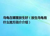 乌龟在哪里放生好（放生乌龟有什么地方简介介绍）