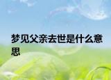 梦见父亲去世是什么意思
