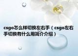 csgo怎么样切换左右手（csgo左右手切换有什么用简介介绍）