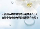 大自然中还有哪些奇妙的现象?（大自然中有哪些奇妙的现象简介介绍）