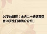 20岁的朝暮（永远二十赶朝暮适合20岁生日嘛简介介绍）