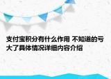 支付宝积分有什么作用 不知道的亏大了具体情况详细内容介绍
