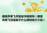 建信养老飞月宝是净值型吗（建信养老飞月宝属于什么理财简介介绍）
