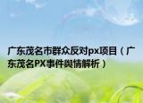 广东茂名市群众反对px项目（广东茂名PX事件舆情解析）
