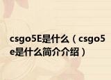 csgo5E是什么（csgo5e是什么简介介绍）