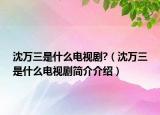 沈万三是什么电视剧?（沈万三是什么电视剧简介介绍）