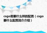 csgo需要什么样的配置（csgo要什么配置简介介绍）