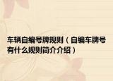 车辆自编号牌规则（自编车牌号有什么规则简介介绍）