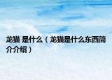 龙猫 是什么（龙猫是什么东西简介介绍）